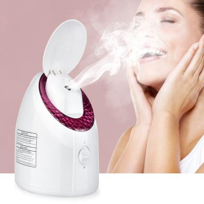 China Household Steam DEEP CLEANSING Facial Thermal Spray Ion Large Nano Spray UV Lamp Moisturizing Beauty Cleansing Deep Cleanse Face Steamer for sale