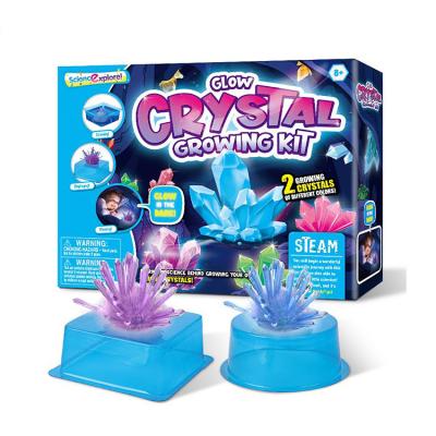 China Children Safe Interesting Scientific Experiment Educational Toy Set Wishing Luminous Crystal Material Toys for sale