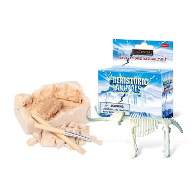 China New Amazon Paleontology Toys Safe Gigantic Toothed Saber Tiger Skeleton Excavation Kit For Kid Other Toys for sale