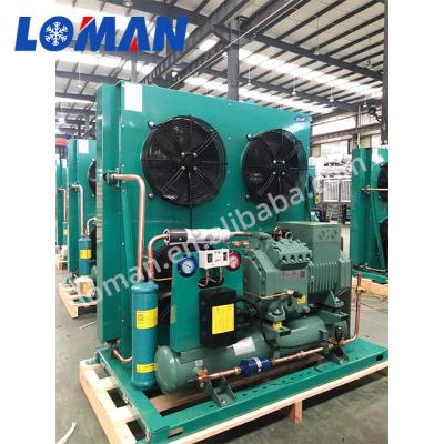 China Refrigeration Parts LOMAN Refrigeration Compressor Unit Condensing Bitzer 10hp 9hp 8hp 7hp 6hp 5hp 4hp 3hp for sale