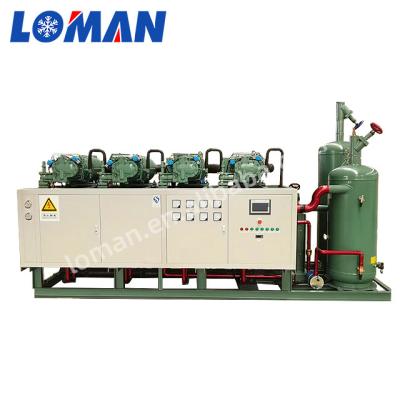 China Refrigeration Parts Bitzer Screw Compressor Refrigeration Parallel Stand Freezer Unit Condensing Series HSN 70 Hp 75 Hp 125 Hp 160 Hp for sale