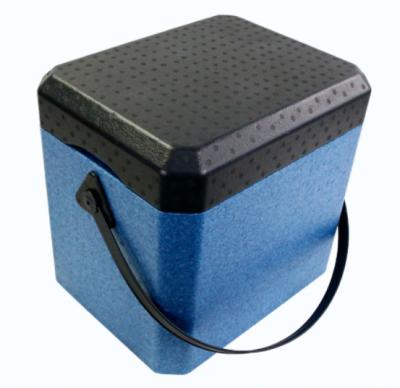 China Stocked 21L PPE foam homeuse cooler box with handle for sale