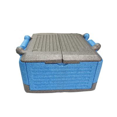 China SUSTAINABLE/ECO-FRIENDLY. New Style Fish Cooler Box Economical Cooler Box Portable Super Quality PPE Cooler Box for sale