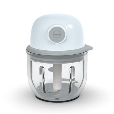 China Household Appliances Mini Food Chopper Electric Multifunctional Small Food Processor With Stainless Steel Cutting Blade for sale