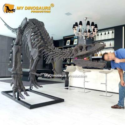 China Waterproof My Dino XJ244 Skeleton Dinosaur T-rex Fossils For Mall for sale