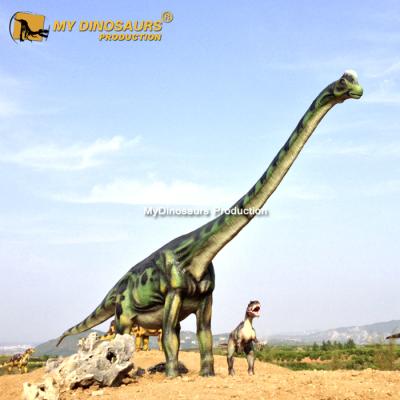 China Waterproof My Dino AA605 Life Size Animatronic Dinosaurs Brachiosaurus for sale