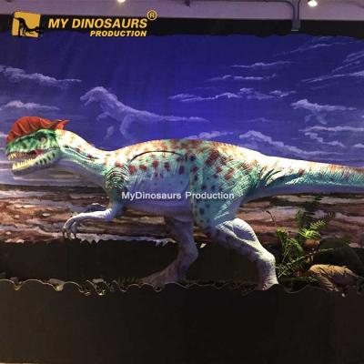 China Collect MY Dino S011 Display Stations Fiberglass Dinosaur Statues For Sale for sale