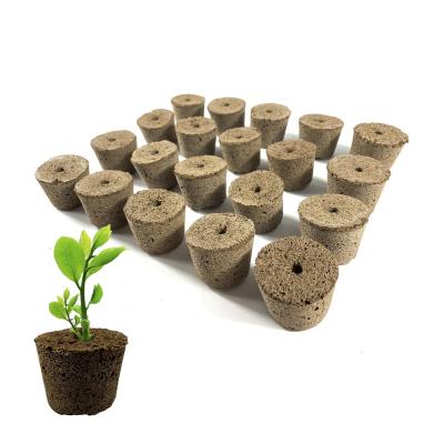 China Fast Rooting 2 Inch Wide Hydroponic Sponge Replacement Growth Sponge Fast Root Plug Plant Seed Pods for Smart Microgreen Growing System for sale