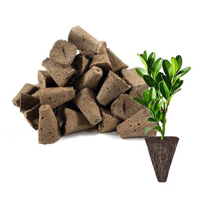 China Fast rooting 1.2 Inch Wide Peat Grow Hydroponic Sponge Seed Starter Plug Soil Pods Fits For Hydroponic Smart Garden System Farm for sale