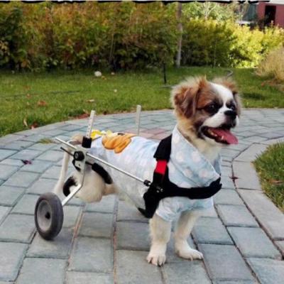 China Large Car Full Support Cat Wheelchair Disability Disabled Pet Use for sale