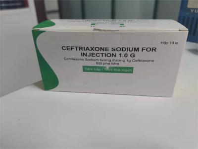 China Drug Medicine Antibiotics powder injection Ceftriaxone Sodium for Injection for sale