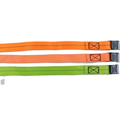 China Polyester Webbing 1 Inch Cam Zinc Alloy Buckle Lashing Cargo Logistic Strap for sale