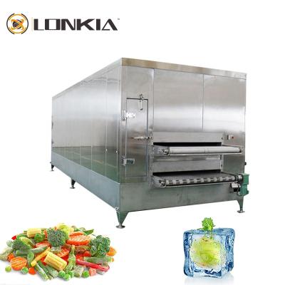 China High quality IQF French fries fluidized bed freezer 500kg/h food machine individual tunnel deep freezer Te koop