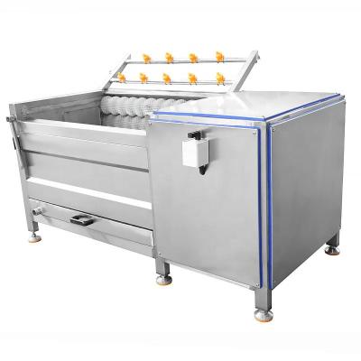 China High efficiency washing machine vegetable cleaning equipment stainless steel carrot washing vegetable peeling machine for sale