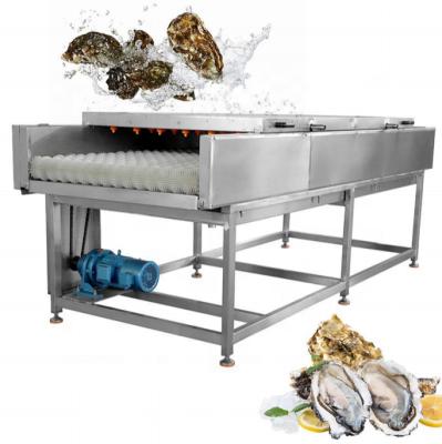 China Water Save Shell Washing Machine Seafood Cleaning Equipment Oyster Washing Machine for sale