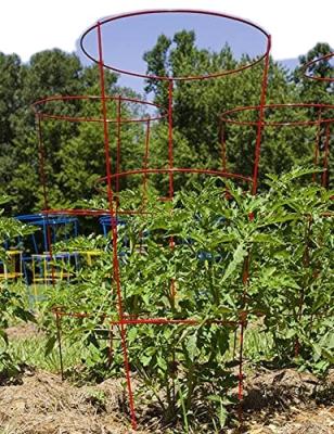 China Heavy Duty Garden Work Tomato and Plant Support Cage Garden Wire for sale