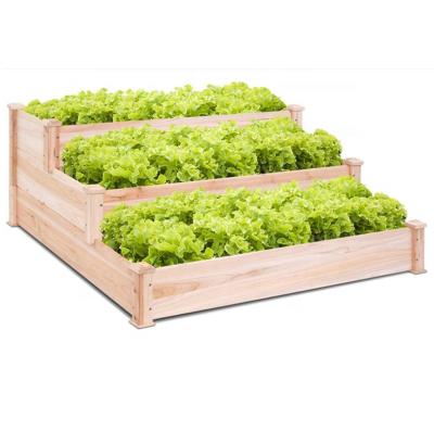 China Cedar Wooden 3 Tires Pastoral Ladder Type Green Bed Raised Garden Raised Bed for sale