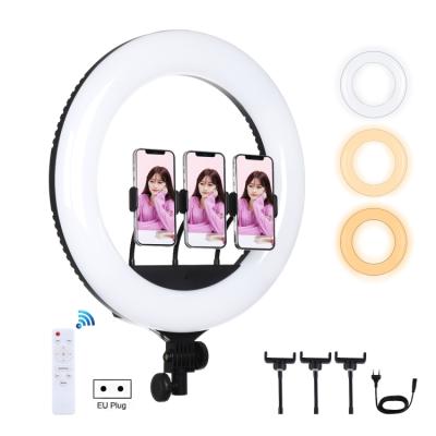 China ABS+PC PULUZ Vlogging Photography Video Lights 18 Inch Curved Outdoor Selfie Ring Light With Remote Control for sale