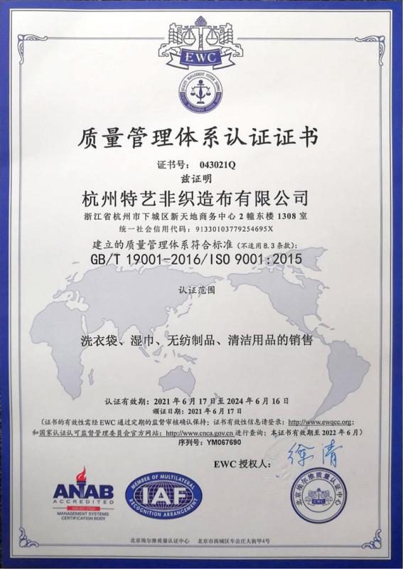 ISO9001 - Hangzhou Special Nonwovens Co., Ltd.