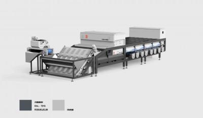 Chine 380V 50Hz 8 voies Robot machine de tri électrique pour les dates à vendre