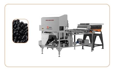 Китай Black Beans Infrared Sorting Machine More Than 1T/H продается