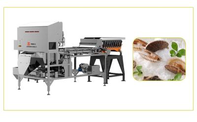 China Low Energy Consumption Scallops Infrared Sorting Machine High Speed zu verkaufen