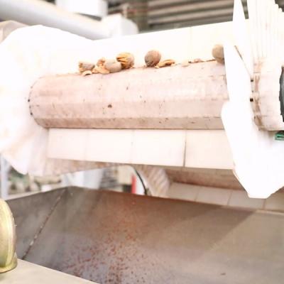 Cina il pecan fendentesi asciutto del CE 220V che sguscia la macchina si collega al nocciolo Shell Separator di IR in vendita