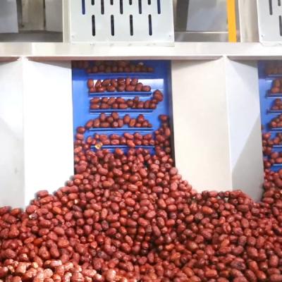 Chine Machine de tri des dates de conformité alimentée par 380V avec une capacité de 4 tonnes à vendre