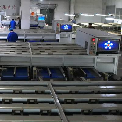 China Tailored Chestnut Sorting Machine With 8 Discharge Ports For Varied Grades And Sizes zu verkaufen