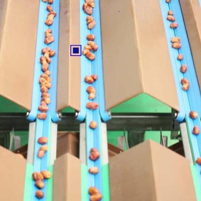 China Size Classification 2.0 Tons Per Hour 8-Lane Palm Dates Sorting Machine zu verkaufen