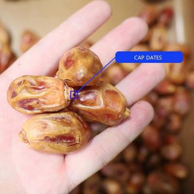 China 360° Defect Inspection 1.4 Tons Per Hour 6-Lane Palm Dates Sorting Machine zu verkaufen