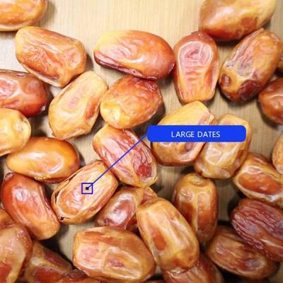 China 8-Lane Palm Dates Sorting Machine AI Deep Learning Size Sorting 2.0 Tons per Hour zu verkaufen