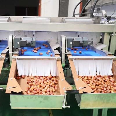 Chine Advanced Sorting Precision 2.0 Tons Capacity 8-Lane Palm Dates Sorting Machine with CE MD ISO9001 Certificates à vendre