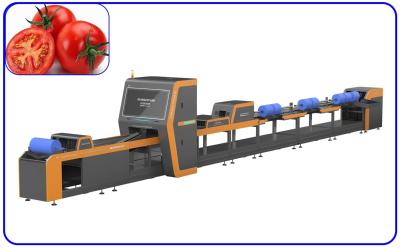 China Optischer automatischer Kanal-intelligenter Edelstahl des Tomaten-Sortierer-1 zu verkaufen