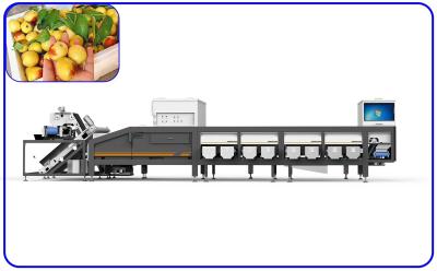 중국 고속 날짜 분류 기계 광학 6.3KW 380V 6 레인 판매용