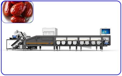 China 380V 50Hz 6 Lanes Robot Sorting Machine Electric Drive For Dates for sale