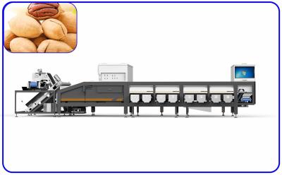 China Agricultural Pecan Sorting Equipment 16 Channel For Size And Damage for sale