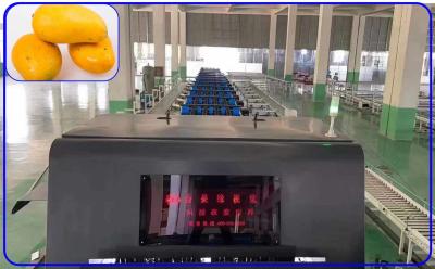 Cina Individui il selezionatore intelligente del mango di Manica 2 di Sugar Mechanical Fruit Sorting Machine in vendita