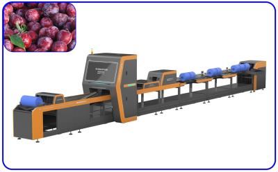 Chine Plum Automatic Sorting Machine à grande vitesse la 1 Manche intelligente à vendre