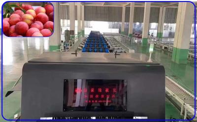 Chine Plum Automatic Sorting Machine Intelligent 3 hauts précis de la Manche à vendre