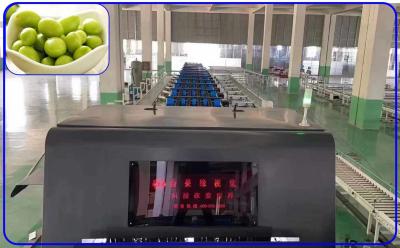 Chine 8 - 12 la Manche efficace de la machine d'évaluation de fruit de t/h 3 pour l'olive chinoise à vendre