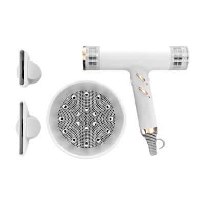 China Ionic High Speed ​​Brushless Hair DryerPortable Anion Dry In Three MinutesWind Adjustable Household Hair Dryer for sale