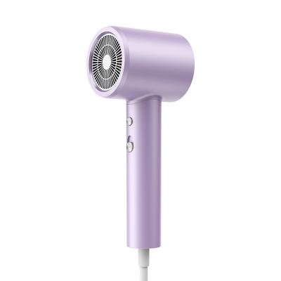 China Portable Ionic Negative Ion Cold And Hot Mute Wind High Speed ​​Hair Dryer For Home Use Manufacturers Negative Ion Hair Dryer for sale