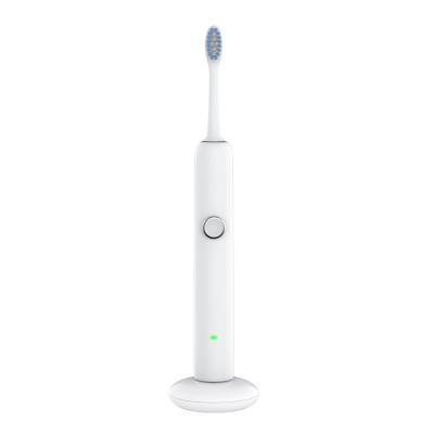 China Remind Every Manufacturer 30s Wholesale Toothbrush Automatic Brush Soft Waterproof Electric Toothbrush China Power Battery for sale