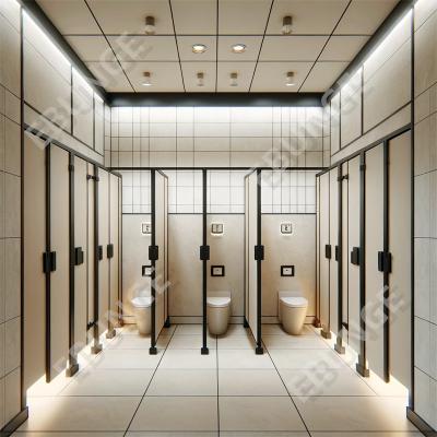 China Modern Toilet Partition Wall / Toilet Partition with Hinged Door and 304 Steel Hardware for sale