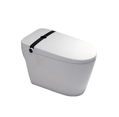 China Flush Modern Widely Used Bidet Top Quality Smart Toilet for sale