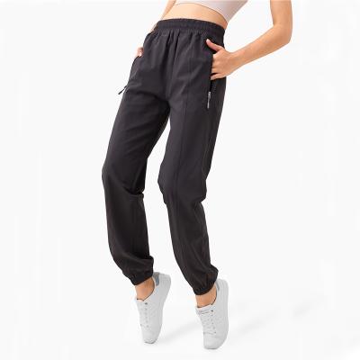 China Anti-wrinkle factory price comfortable sports pant suits set gym nylon clothing women casual pants pants for sale