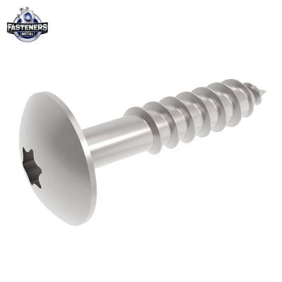 China Wooden Pan Head Self Tapping Screw from Pan Stainless Steel Torx Head for sale