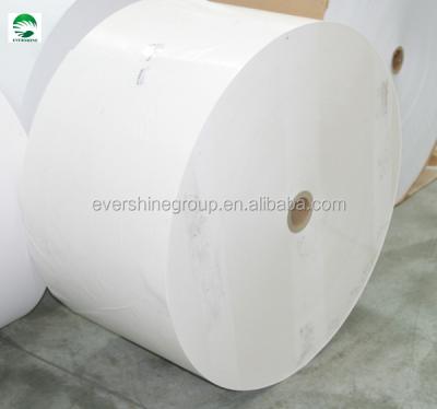 China 2014 evershine brand food grade 22g-80g greaseproof white parchment paper roll for sale