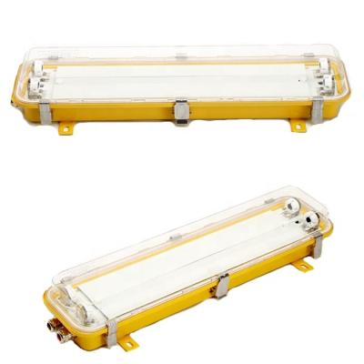 China Exd IICT4 Steel Case G13 Explosion Proof Fluorescent Light Marine Boat Marine Vessel 110V 220V for sale